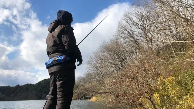INCREDIBASS