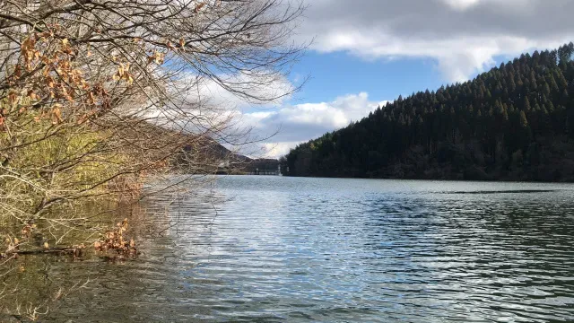 INCREDIBASS