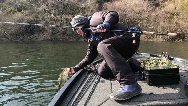 INCREDIBASS