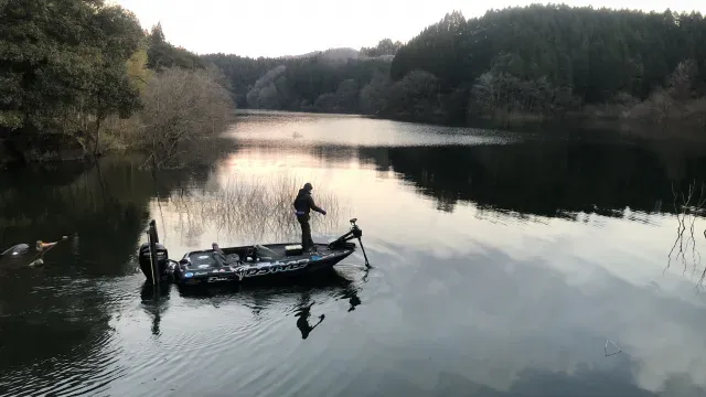 INCREDIBASS