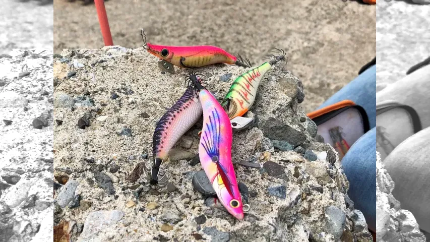 とことんエギパラダイス