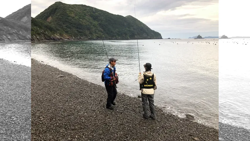 とことんエギパラダイス