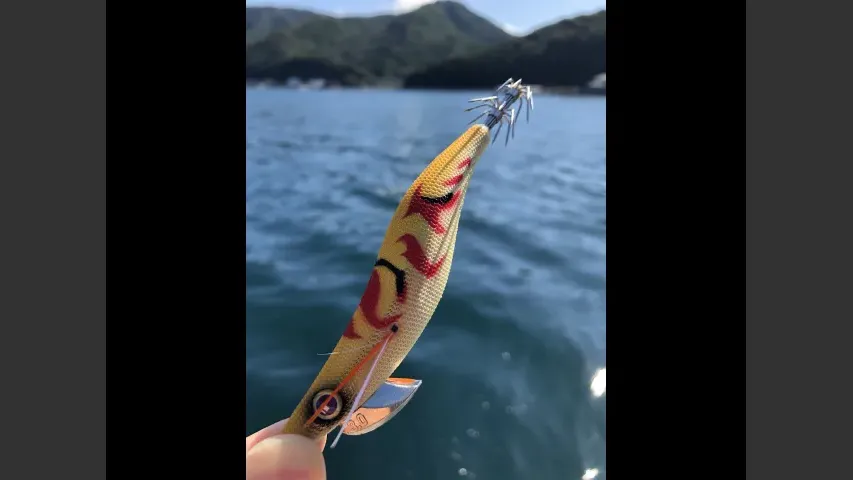 とことんエギパラダイス