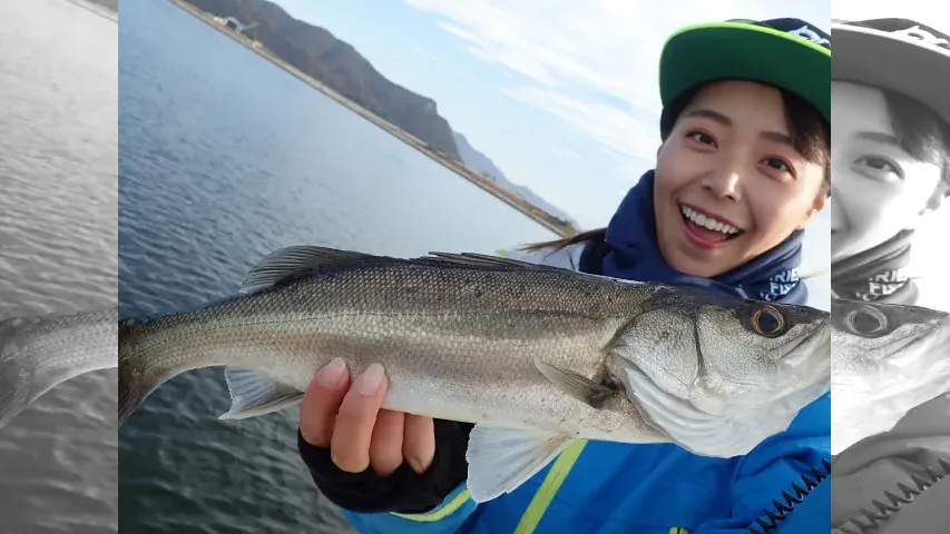 やっぱりシー研 海洋生物研究所
