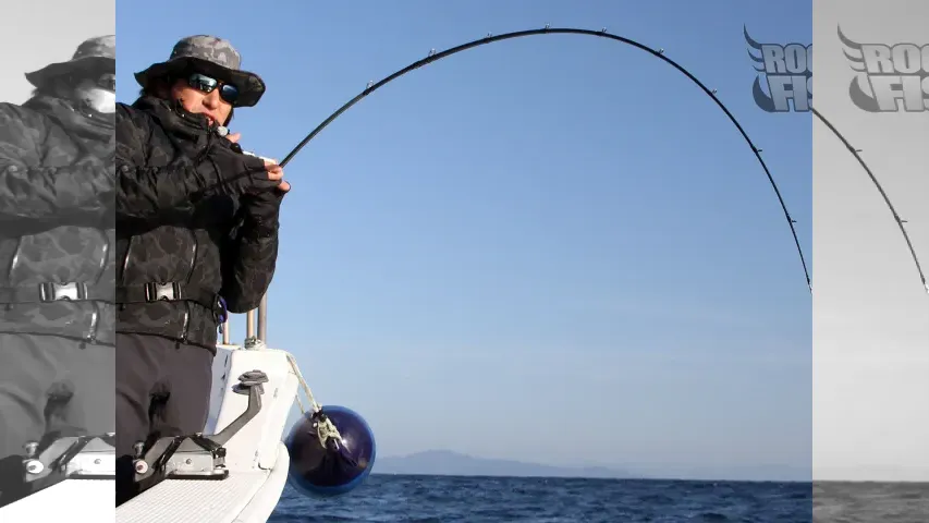 Rock'n Fish