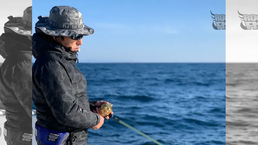 Rock'n Fish