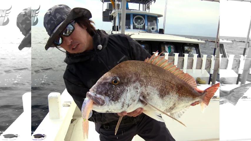 Rock'n Fish