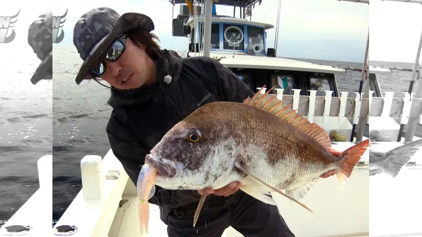 Rock'n Fish