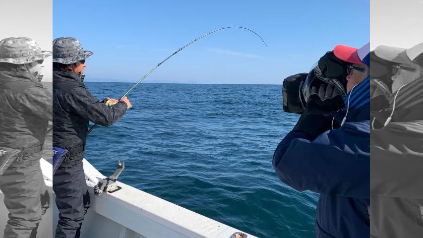 Rock'n Fish