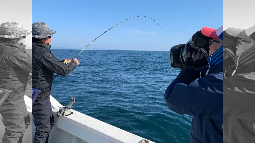 Rock'n Fish