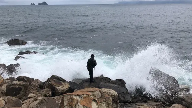 SALT Dreamer