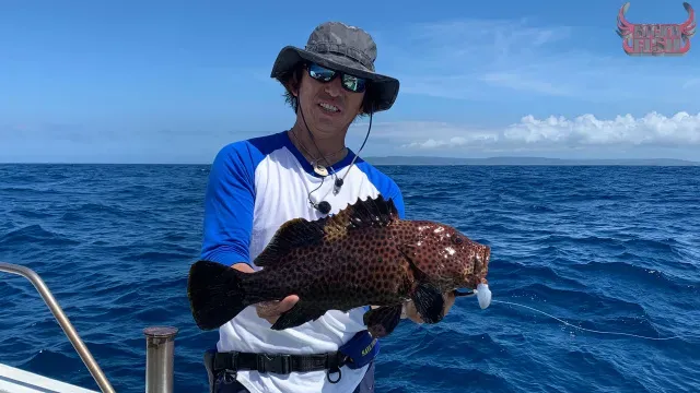 Rock'n Fish