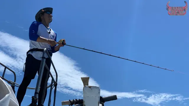 Rock'n Fish
