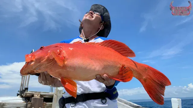 Rock'n Fish