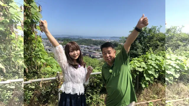 Let's try ソルトゲーム
