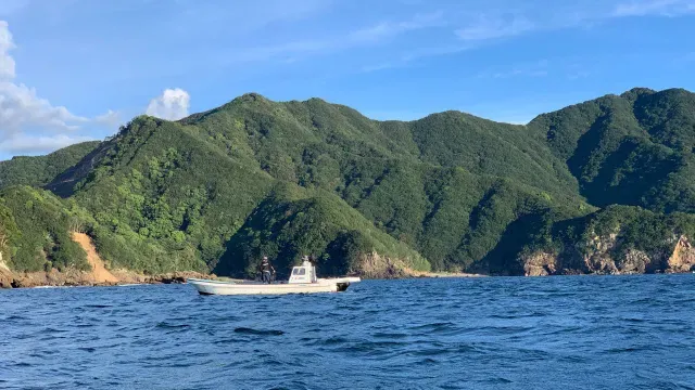Rock'n Fish
