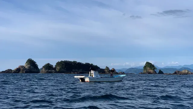 Rock'n Fish