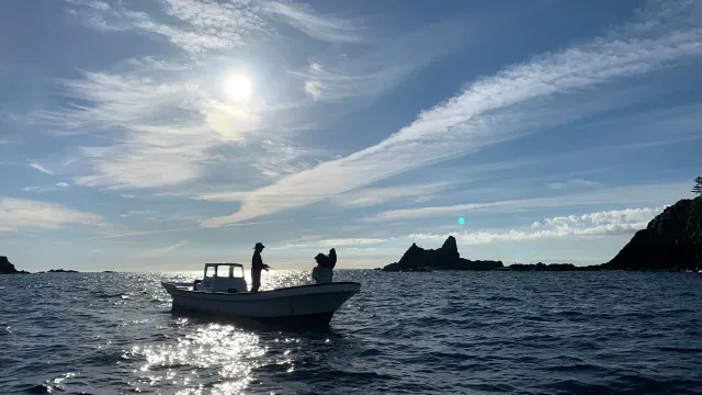 Rock'n Fish