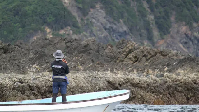 Rock'n Fish