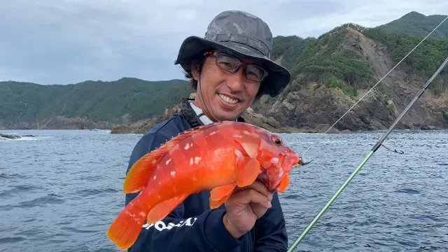 Rock'n Fish