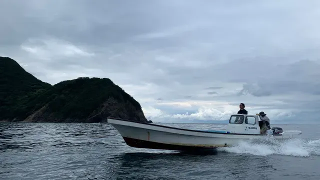 Rock'n Fish