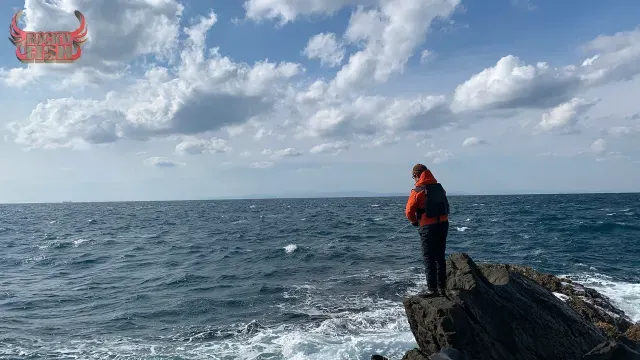 Rock'n Fish