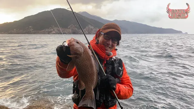Rock'n Fish