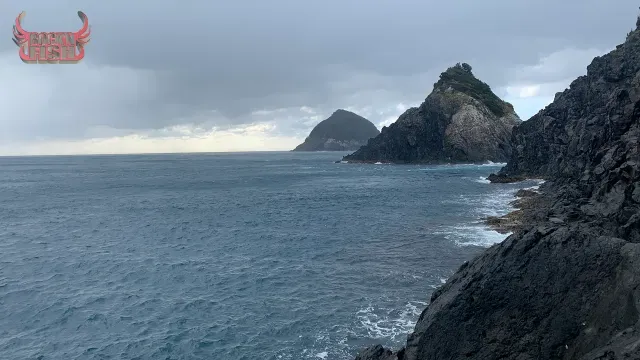 Rock'n Fish