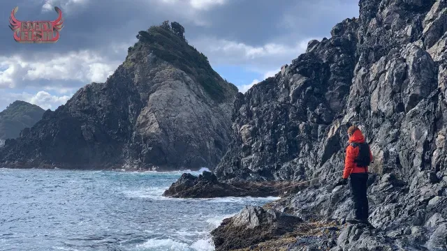 Rock'n Fish