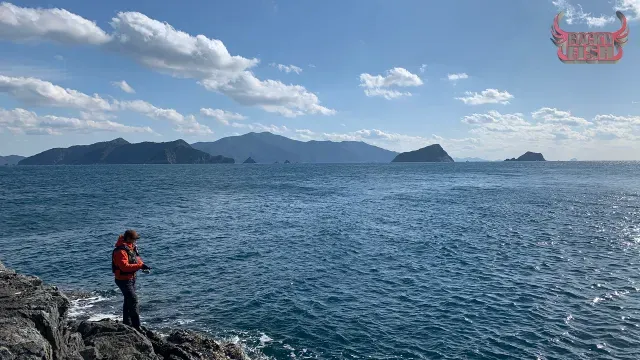 Rock'n Fish