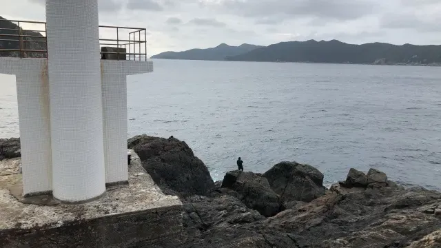 SALT Dreamer