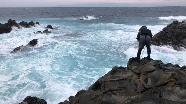 SALT Dreamer