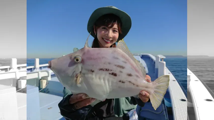 目指せ！竿頭