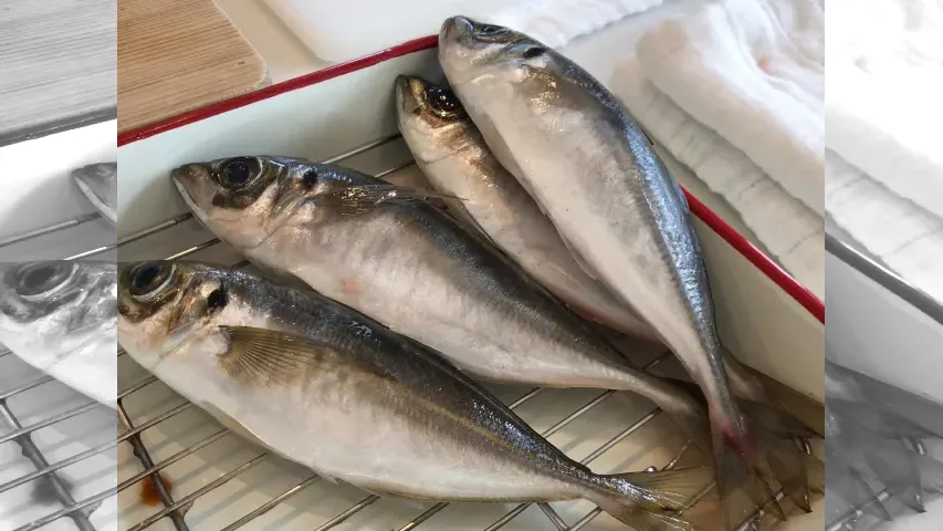 TSURI na KIBUN