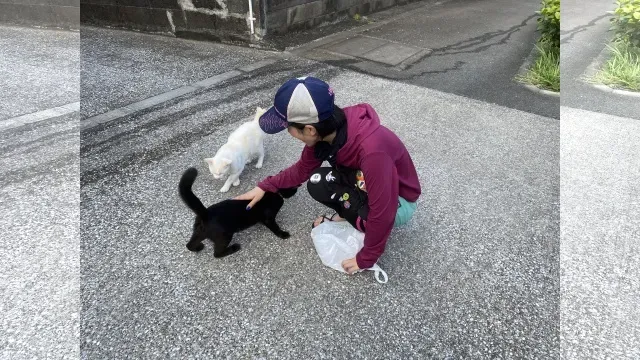 大漁！関東沖釣り爆釣会