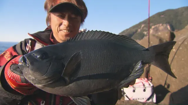 磯を駆ける