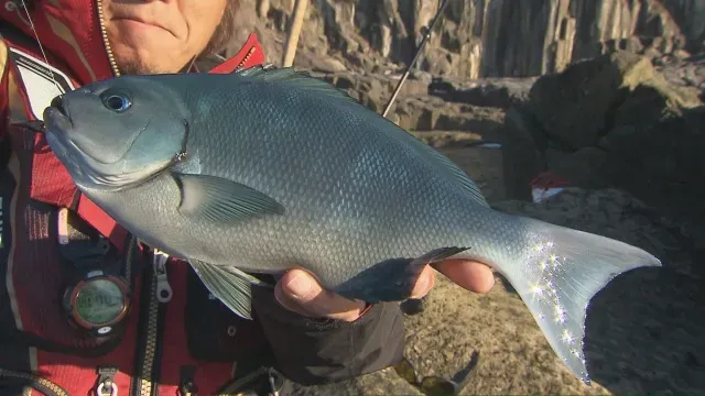 磯を駆ける