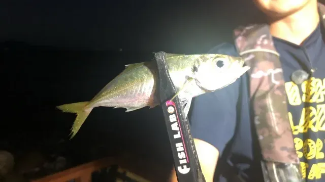 おかげさまで釣れてます！