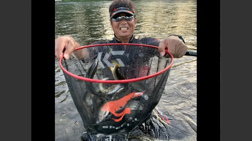 鮎2019