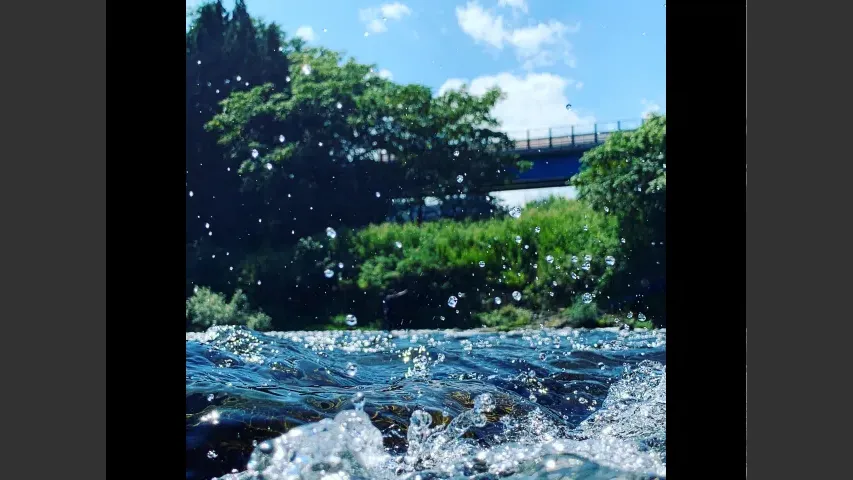 鮎2019