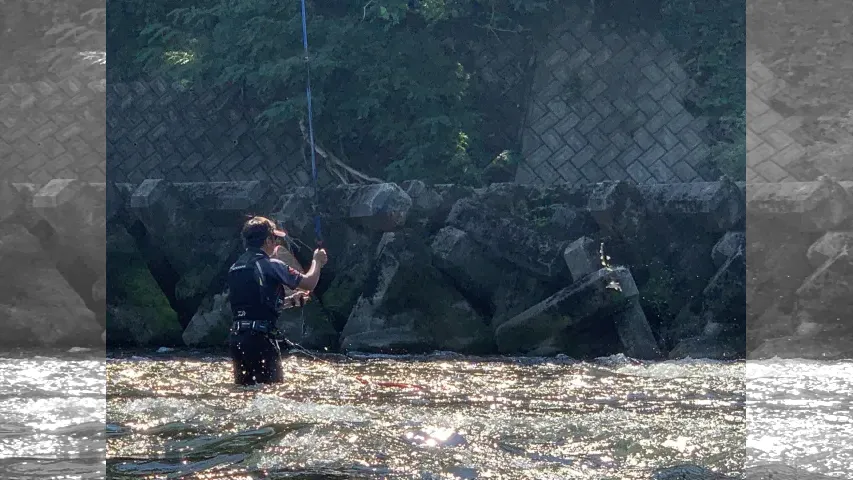 鮎2019