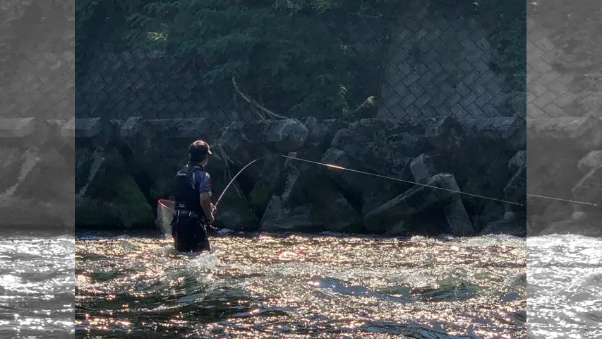 鮎2019