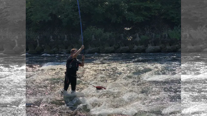 鮎2019