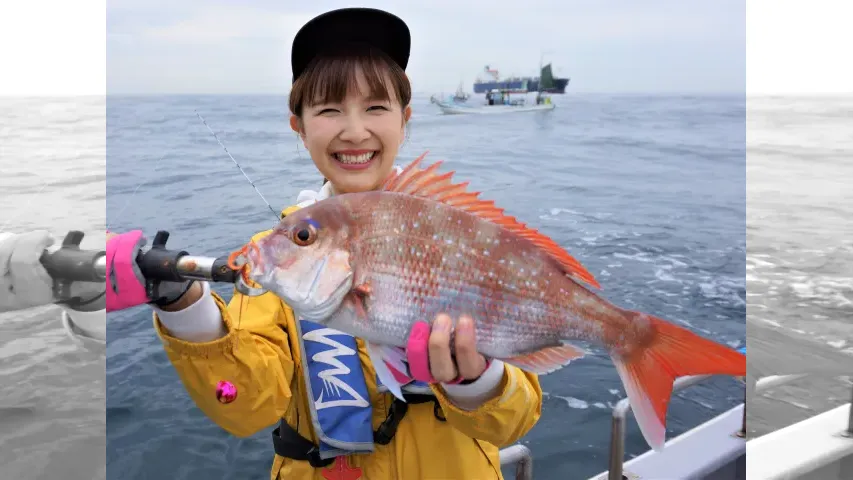 こちら東海です。