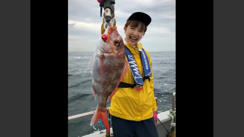 こちら東海です。