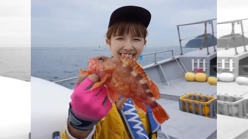 こちら東海です。