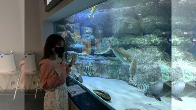 こちら東海です。