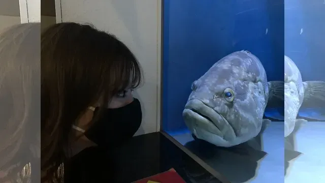 こちら東海です。