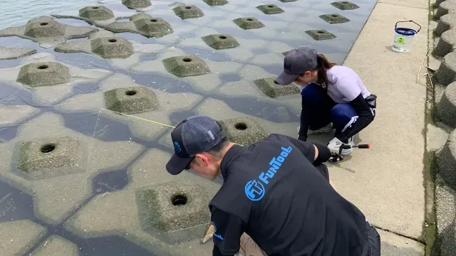 こちら東海です。DX