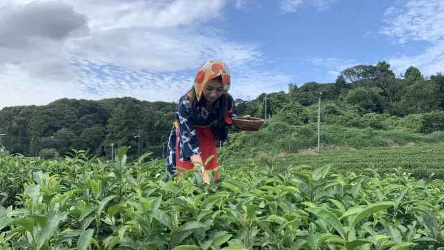 こちら東海です。DX
